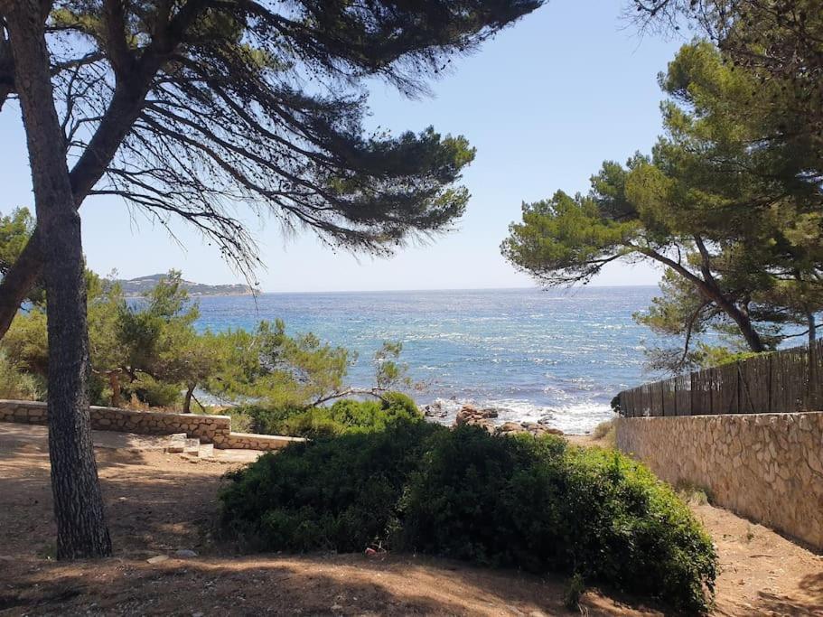 לה סיין סור-מר Les Geraniums, Bel Appartement Renove, Proche Plage Et Commerces מראה חיצוני תמונה